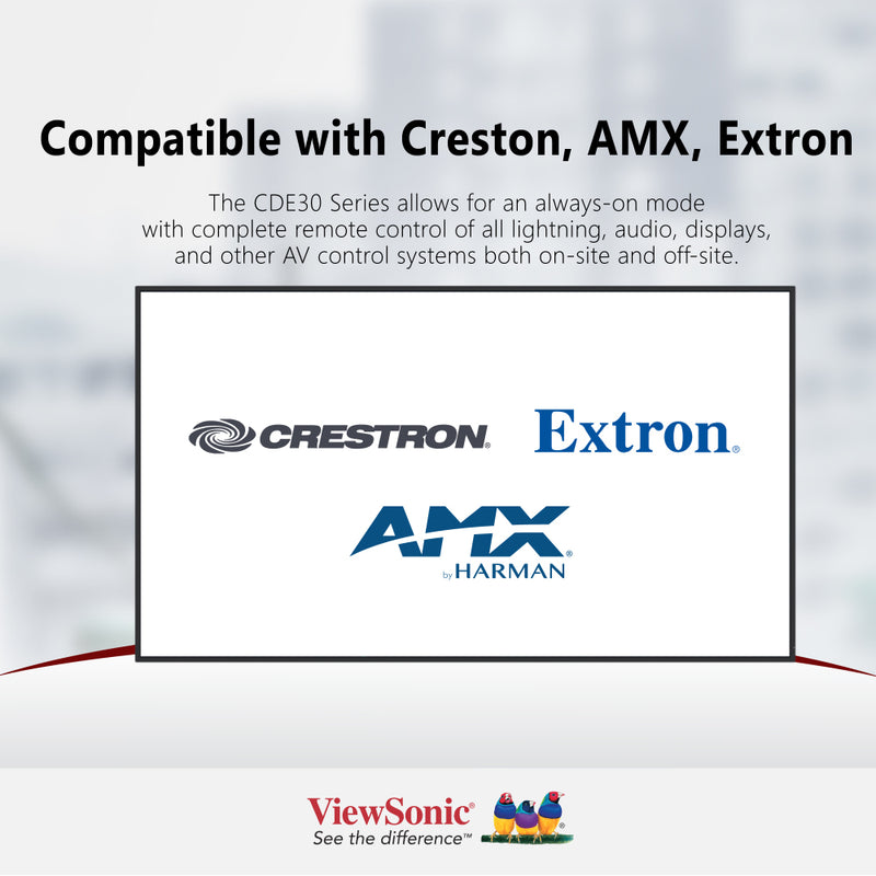 VIEWSONIC CDE6530 65" 4K Presentation Display