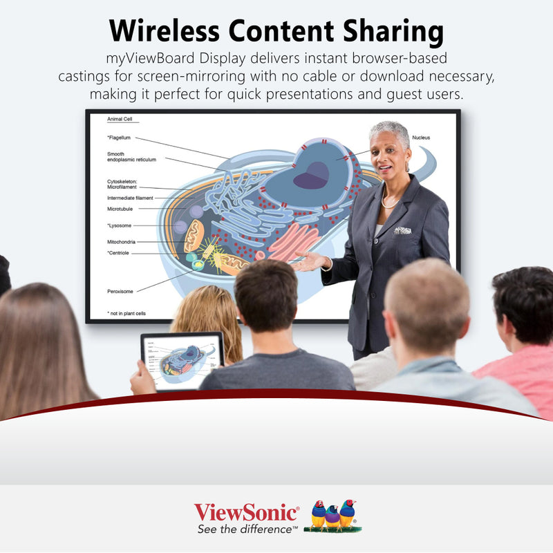 VIEWSONIC CDE6530 65" 4K Presentation Display