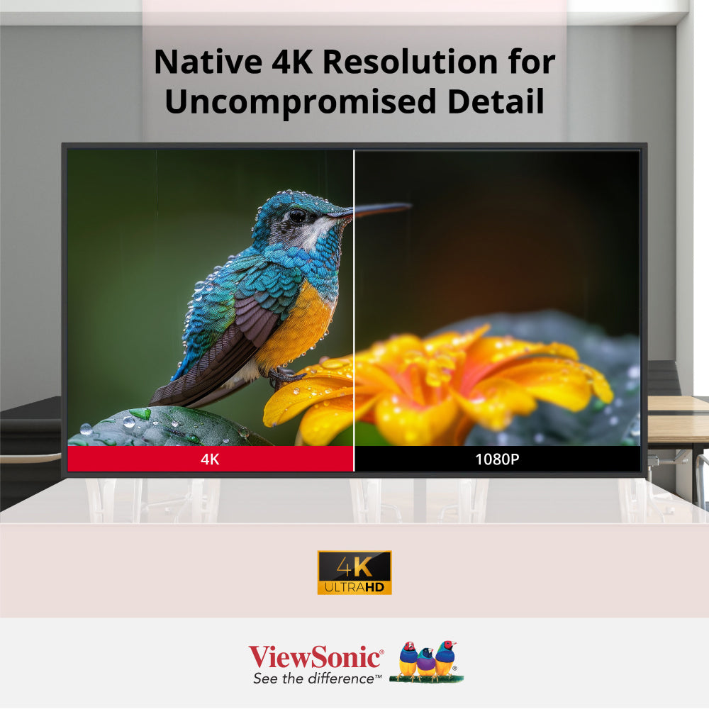 VIEWSONIC CDE6514-2C 65" 4K Commercial Display with ProAV Integration