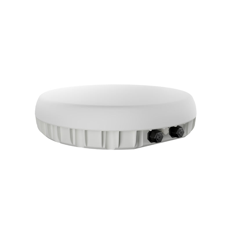 PEPLINK Antenna MAX Duo