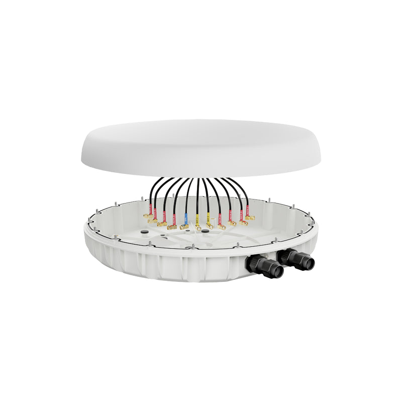 PEPLINK Antenna MAX Duo